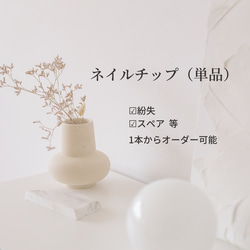 ネイルチップ単品購入（1本からオーダーOK!） ネイルチップ（つけ爪