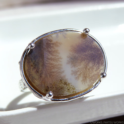 デンドリティック アゲートリング / Dendritic Agate Ring o 3枚目の画像