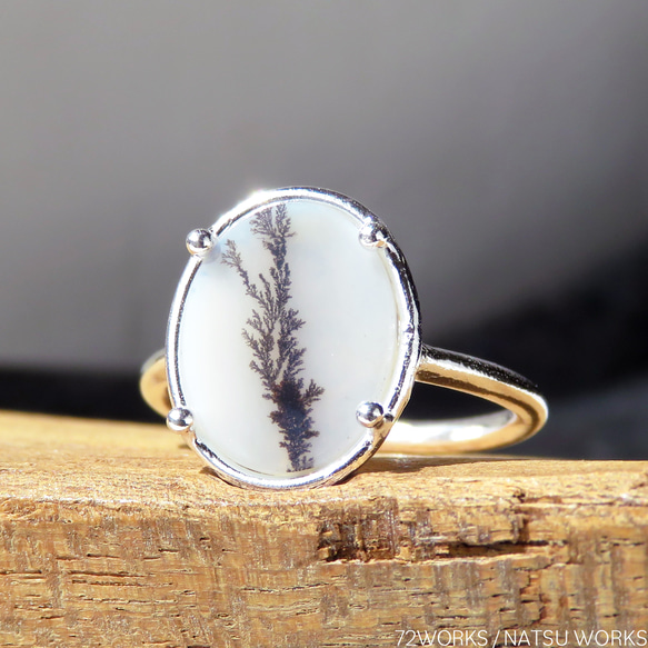 デンドリティック アゲートリング / Dendritic Agate Ring b 1枚目の画像