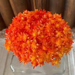 アジサイブルーMIXバイカラー小分け❣️ハンドメイド花材プリザーブド  