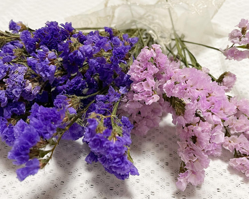 9787776dfb4f897e00c02e1d702b03