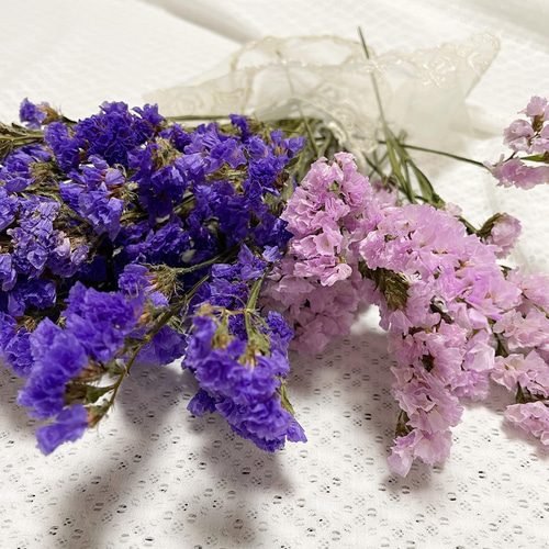 紫色のスターチス ドライフラワー 紫 10本⇒26g 〈No.42〉 【ドライ