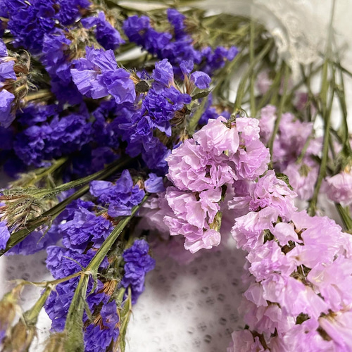 ピンクと紫のスターチス ドライフラワー ドライフラワー cocoto 通販