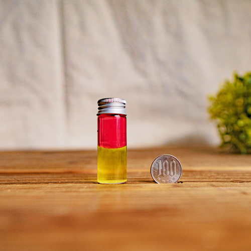 バイカラーボトル 3本セット センサリーボトル 【色の組み合わせが