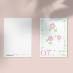 花とカレンダー No.0703 海朝顔 ポストカード 2枚目の画像