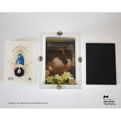 ネコさんの新しいお葬式・メモリアル、「ステラマリス・BOX」です。※お手元供養 8枚目の画像