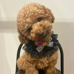 犬用猫用ペット用首輪小型犬・猫用ハロウィンチョーカー