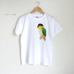 p-jet　ズグロシロハラインコ  Tシャツ　 / 鳥 インコ　シロハラインコ 2枚目の画像