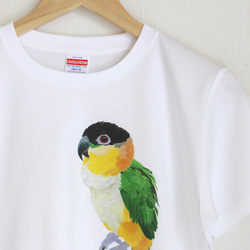 p-jet　ズグロシロハラインコ  Tシャツ　 / 鳥 インコ　シロハラインコ 3枚目の画像