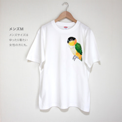 p-jet　ズグロシロハラインコ  Tシャツ　 / 鳥 インコ　シロハラインコ 6枚目の画像