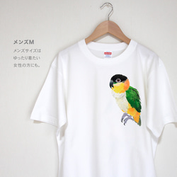 p-jet　ズグロシロハラインコ  Tシャツ　 / 鳥 インコ　シロハラインコ 5枚目の画像