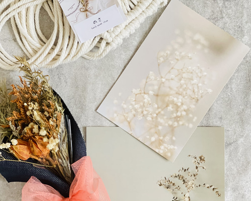 【kazu様おまとめ】ドライフラワー 0021f526b9e03f1aa5f0737797ca06