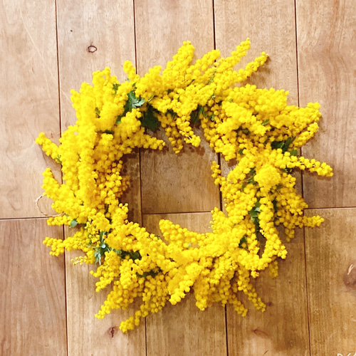 早割】予約 春の庭からフレッシュミモザのリース リース six flowers