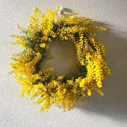 早早割】2026予約 春の庭からフレッシュミモザとユーカリのリース