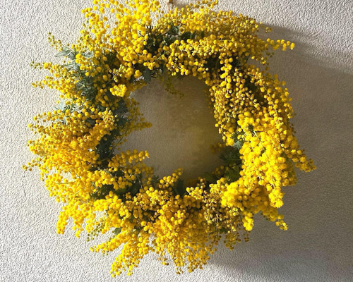 早割】予約 春の庭からフレッシュミモザのリース リース six flowers