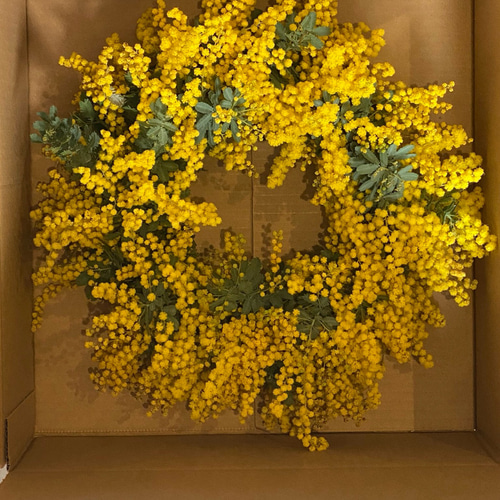 早割】予約 春の庭からフレッシュミモザのリース リース six flowers