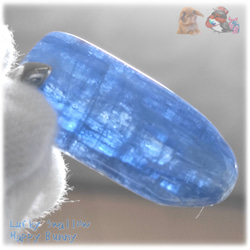 ◆ 宝石質 結晶 限定品 チベット産 藍晶石 カイヤナイト Kyanite 原石 ペンダント ネックレス No.5230 9枚目の画像