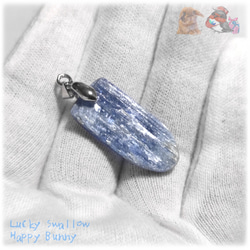 ◆ 宝石質 結晶 限定品 チベット産 藍晶石 カイヤナイト Kyanite 原石 ペンダント ネックレス No.5230 8枚目の画像