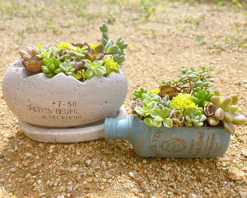 17f0e7b84c56fac85751311cc3712c