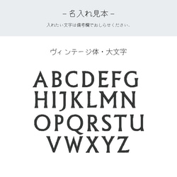 【期間限定価格】生まれたてのか弱い肌を守る オーガニックコットン スリーパー 名入れ刺繍可能 くるま柄 プレミアム 12枚目の画像