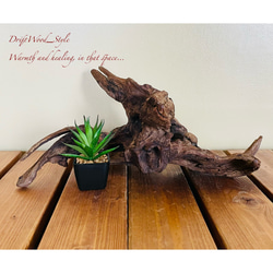 [希少] \"造形美\"流木\"　\"インテリア\"　\"置物\" 流木 インテリア - n-ichiro | minne byGMOペパボ 国内最大級の
