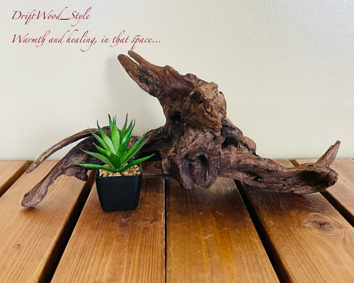 流木インテリア 盆栽のような芸術的な曲線が美しい流木 スタンド
