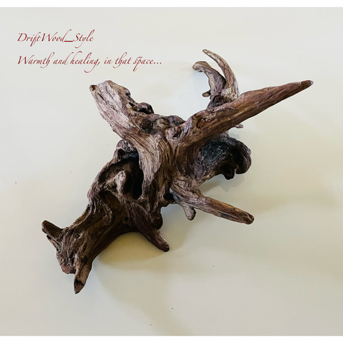 [希少] \"造形美\"流木\"　\"インテリア\"　\"置物\" 希少] 