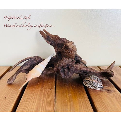 [希少] \"造形美\"流木\"　\"インテリア\"　\"置物\" 楽天市場】変形 レア 流木/大型 特大 流木 置物 玄関 木