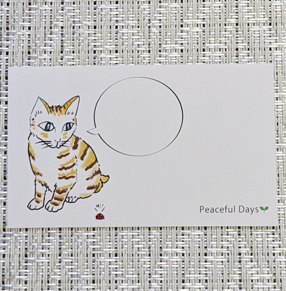 猫のメッセージカード 20枚 2枚目の画像