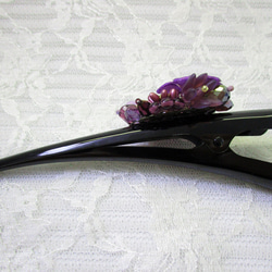 紫花 / Concorde Clip 第7張的照片