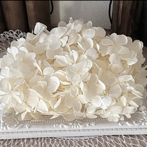 高品質アトランティスアジサイゴールド加工小分け❣️ハンドメイド花材 
