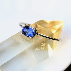 サファイアシルバーリング 楽天市場】OPEN23周年ポイント3倍 リング ブルーサファイア