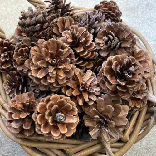 お正月リース♪No.9 しめ縄リース お正月リース No.9