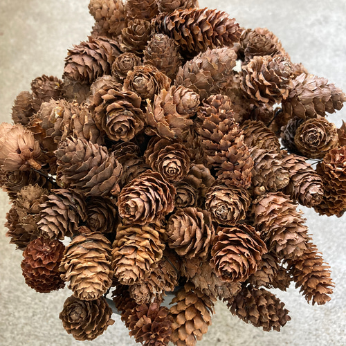 お正月リース♪No.9 しめ縄リース お正月リース No.9