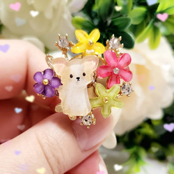 チワワのとっても可愛い華やかカラフルflowerポニーフック❤✨　送料無料　犬　限定　プレゼント　ギフトラッピング　花 5枚目の画像