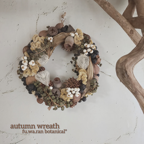 専用＊winter＊コットン＆ホオズキ ドライフラワーリース 専用＊winter＊コットン＆ホオズキ ドライフラワーリース 専用＊winter