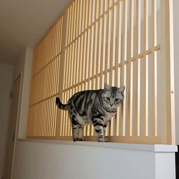 階段、吹き抜けから、ネコちゃんが落下するのを防ぐフェンス 7枚目の画像