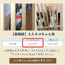 【木製】ネコちゃん　落下防止フェンス 12枚目の画像