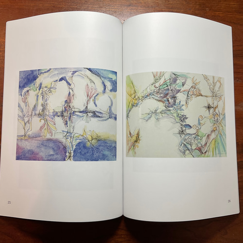 数量は多 限定画集 銅版画 Printworks MasatoNAGAI 永井雅人版画作品集 絵画
