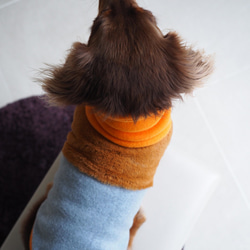 犬服　ダックスちゃんのファー付きハイネックタンクトップ　オレンジ×グレー 6枚目の画像