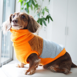 犬服　ダックスちゃんのファー付きハイネックタンクトップ　オレンジ×グレー 1枚目の画像