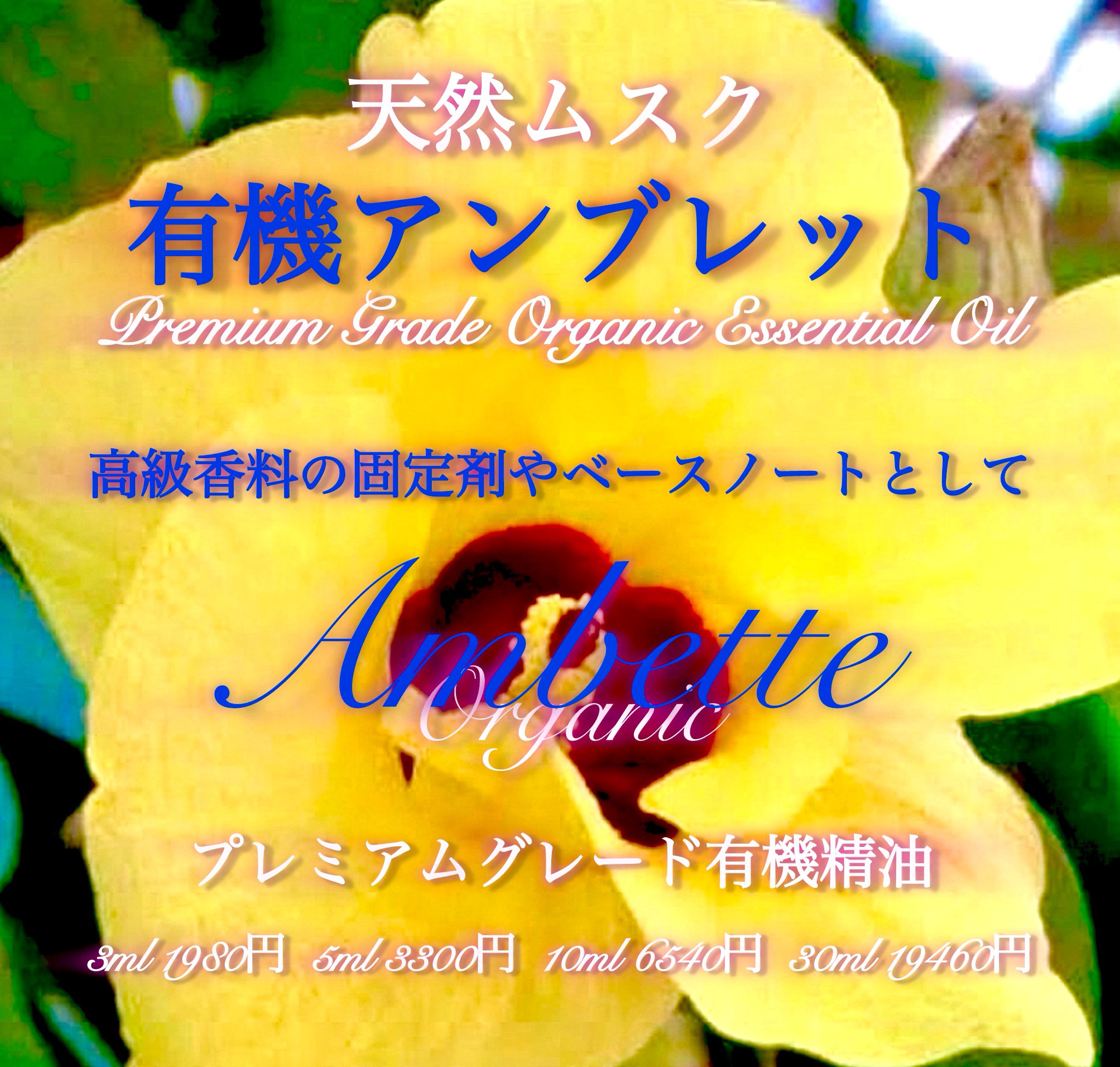 プレミアムグレード精油有機アンブッレットシード10ml（3ml/5ml/30ml販売中）