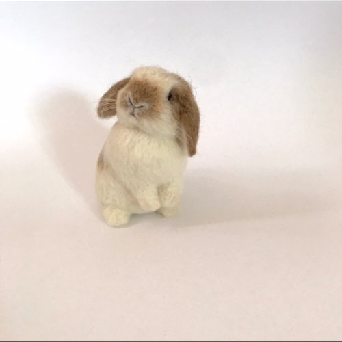 うさぎ 羊毛フェルト ロップイヤー ホーランドロップ ミニうさぎ