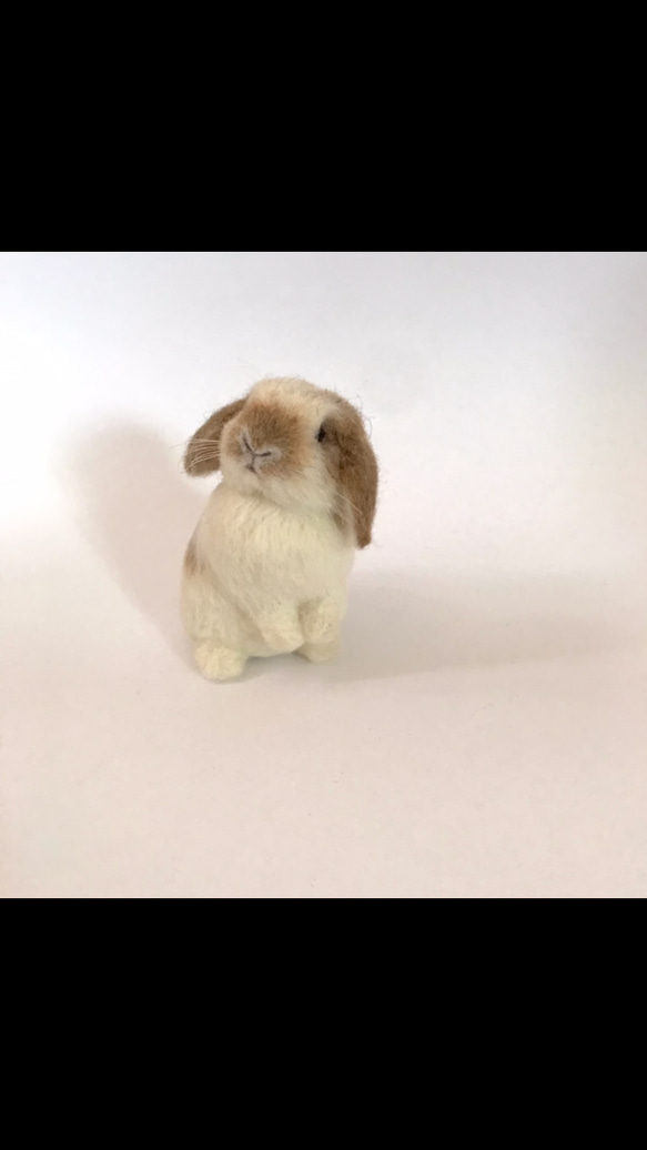 うさぎ 羊毛フェルト ロップイヤー ホーランドロップ ミニうさぎ