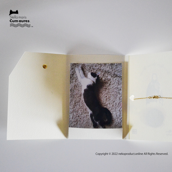 【お骨無し】ネコさんの新しいお葬式・メモリアル、「ステラマリス・BOX」です。※お手元供養 10枚目の画像