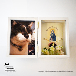 【お骨無し】ネコさんの新しいお葬式・メモリアル、「ステラマリス・BOX」です。※お手元供養 1枚目の画像