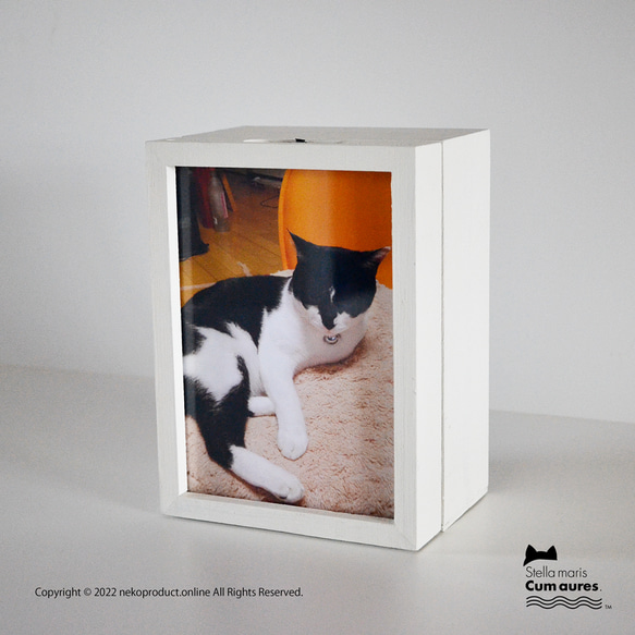 【お骨無し】ネコさんの新しいお葬式・メモリアル、「ステラマリス・BOX」です。※お手元供養 15枚目の画像