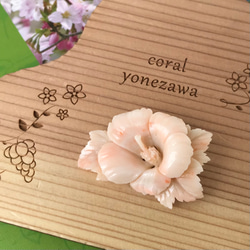 07de71b0c92bf5a7693468a1ff926c