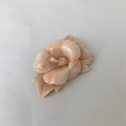 珊瑚彫刻ブローチ　『ハイビスカス』　少しの訳でお買い得　R40911Y 9枚目の画像