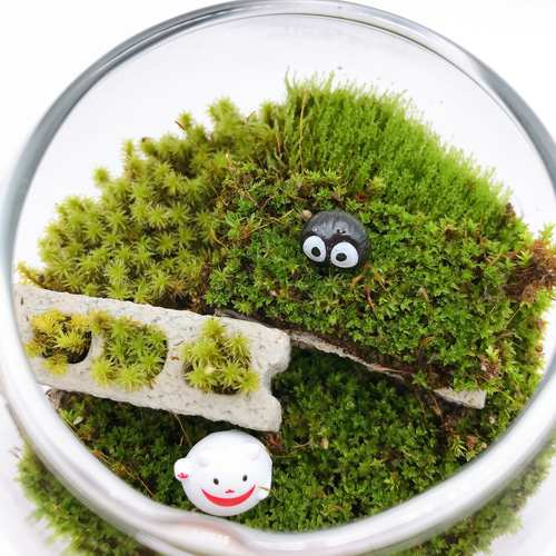 苔テラリウム☆招き猫・ブロック・黒豆くん その他インテリア雑貨